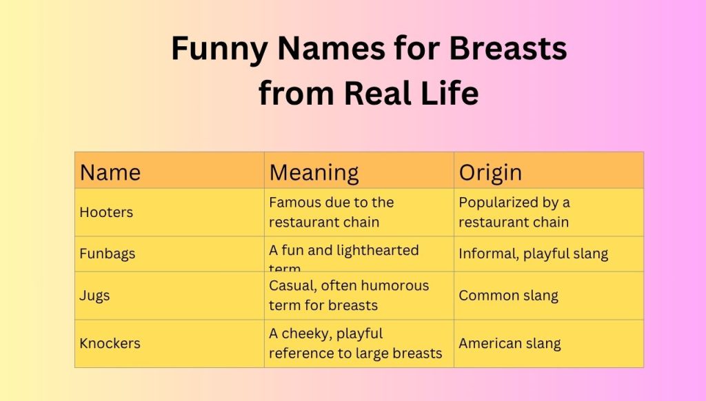 Funny Names for Breasts from Real Life