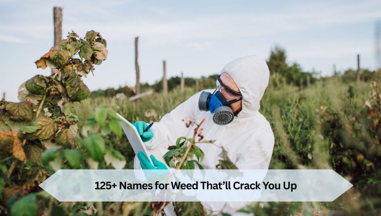 125+ Names for Weed That’ll Crack You Up